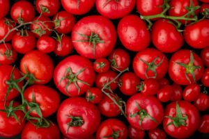 study of genetic diversity in cherry tomato solanum lycopersicum l. var. cerasiforme genotypes for-various-quantitative-and-qualitative-traits