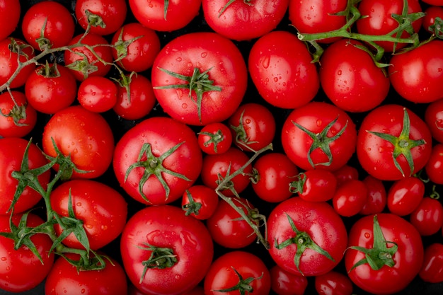 study of genetic diversity in cherry tomato solanum lycopersicum l. var. cerasiforme genotypes for-various-quantitative-and-qualitative-traits