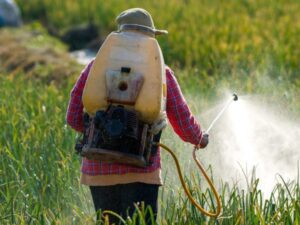 Pesticide Productivity and Food Security