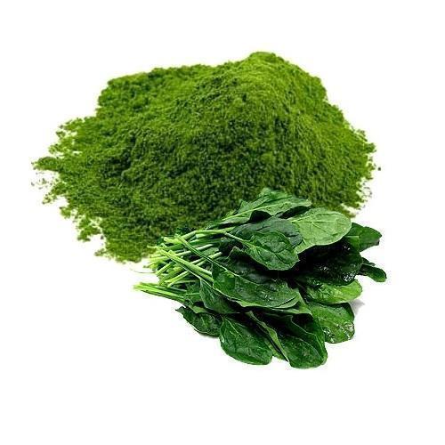 Spinach Leaves Powder