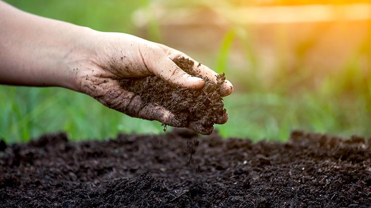 Soil Fertility - CHE