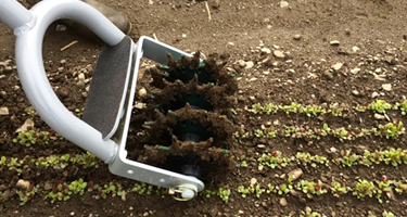 Weeding Tool in Soil Bin