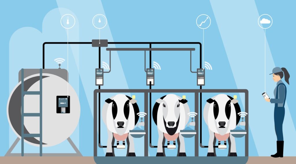 technology in Dairy Farming